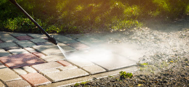 Best Sidewalk and Walkway Cleaning  in Webb City, MO