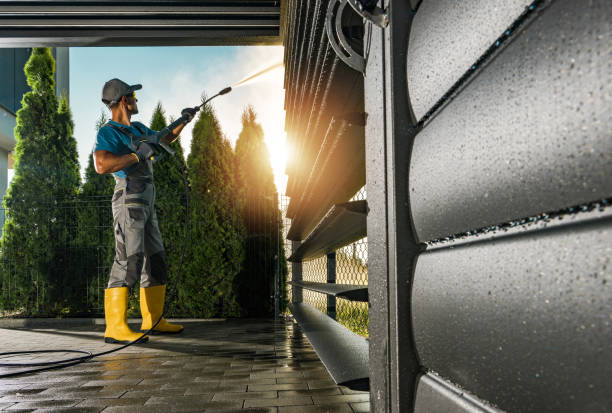 Best Rust Removal  in Webb City, MO